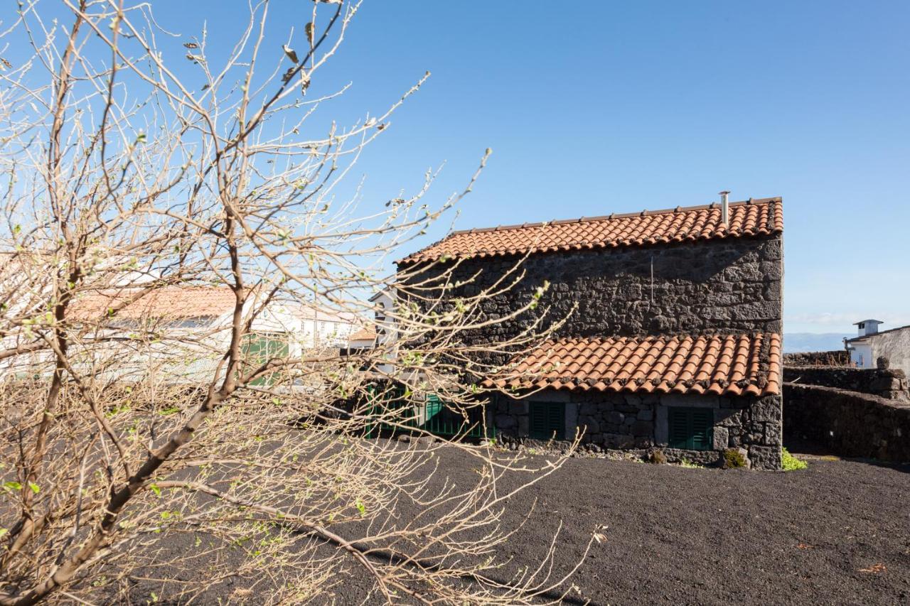 Adega Do Boqueirao Villa Prainha  Ngoại thất bức ảnh